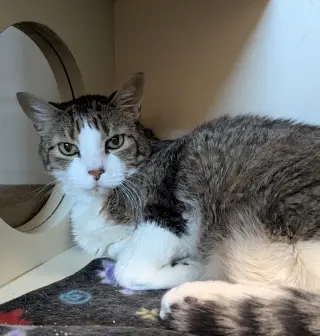 Eugene