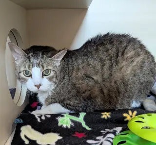 Eugene