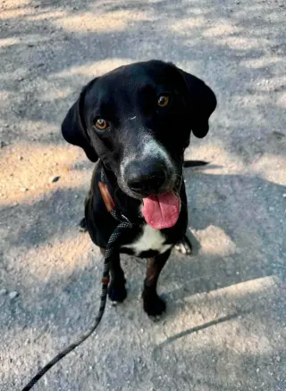 leroy