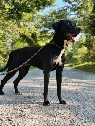 leroy