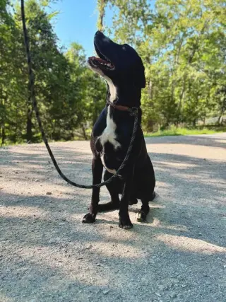 leroy