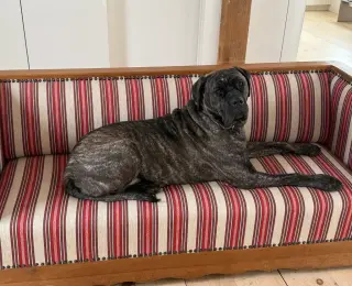 Penny