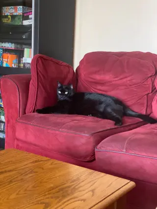 Echo