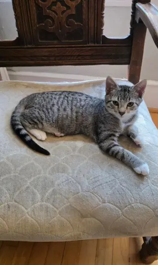 Archie