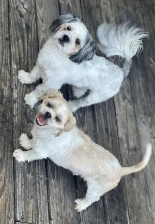 Benson and Bailey