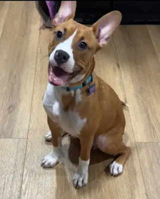 Zeke