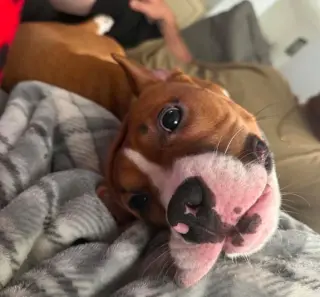 Zeke