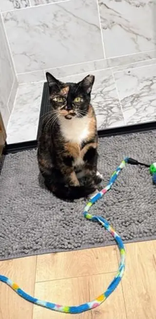 Gabby