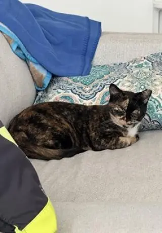 Gabby