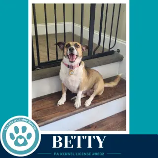 Betty (Mom to Betty's Babble Bunch) 062726