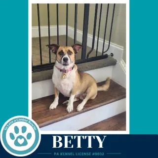 Betty (Mom to Betty's Babble Bunch) 062726