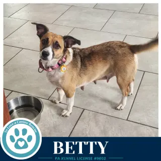 Betty (Mom to Betty's Babble Bunch) 062726