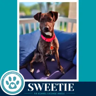 Sweetie (Mom to Sweeties Sweets) 082926