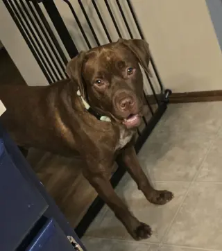 Floppy