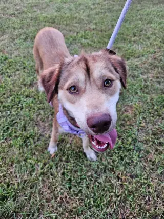 Daisy (Cleveland Mama)
