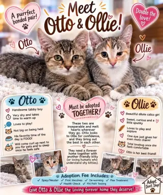 Otto
