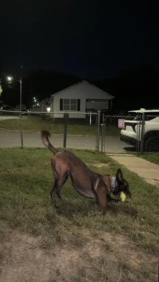 Brock - Located in Tennessee