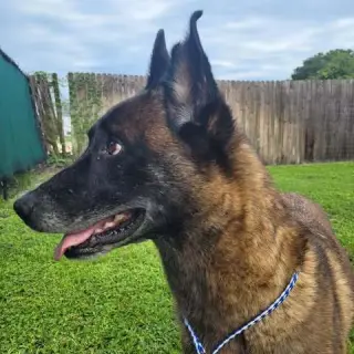 Country Queens - Reba - Located in FL