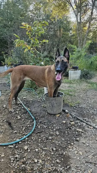 Big Tina - Located in Georgia