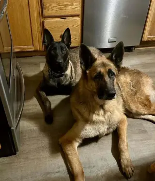 Xander - Located in New Jersey