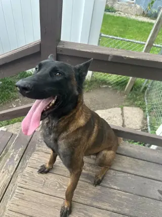 Xander - Located in New Jersey