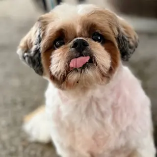 Minnie