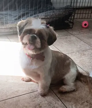 Minnie