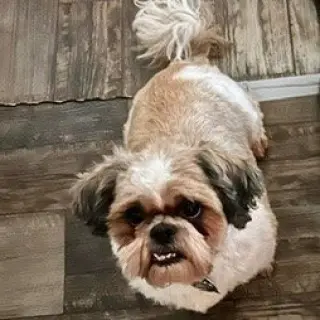Minnie