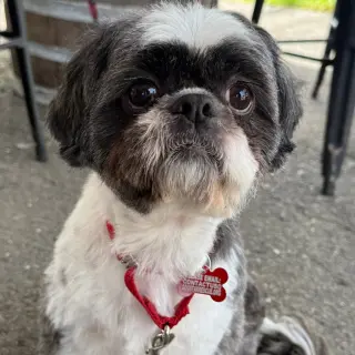Max