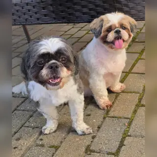 Max