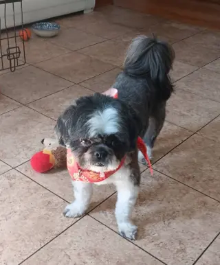 Max
