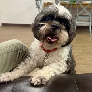 Max
