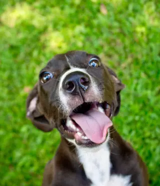 Marley2