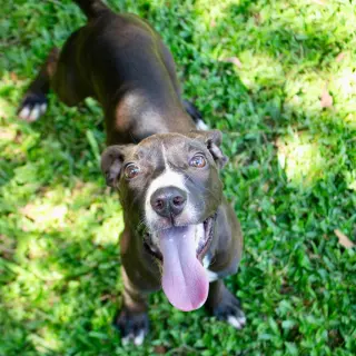 Marley2