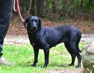 Georgia