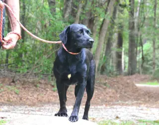 Georgia