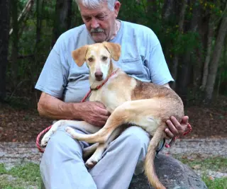 Hazel