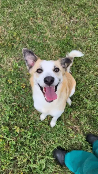 Zoey