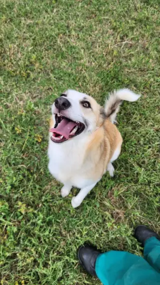 Zoey