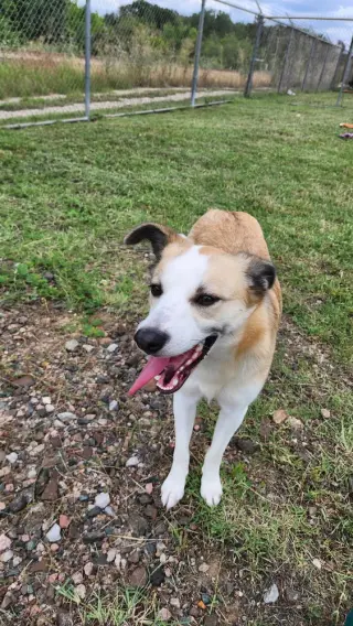 Zoey