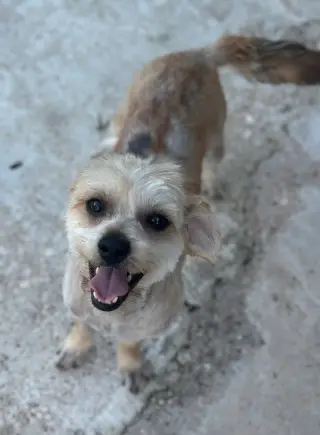 Milo
