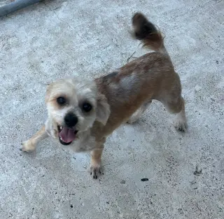 Milo
