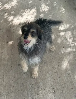 Marley