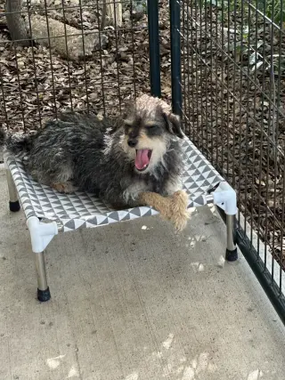 Marley