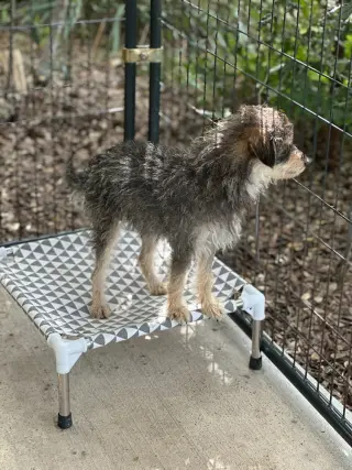 Marley