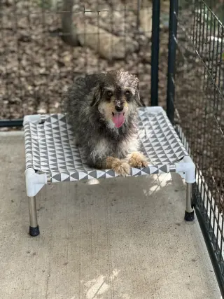 Marley