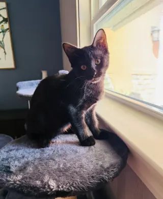 Luna