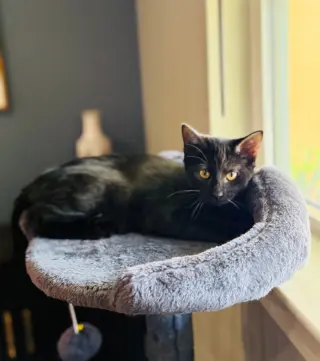 Luna