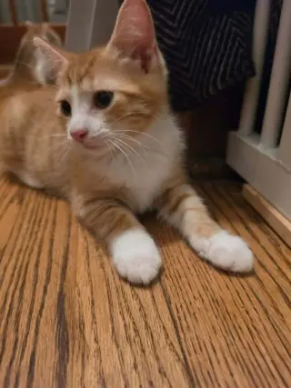 Rory
