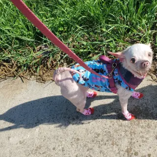 Pinky